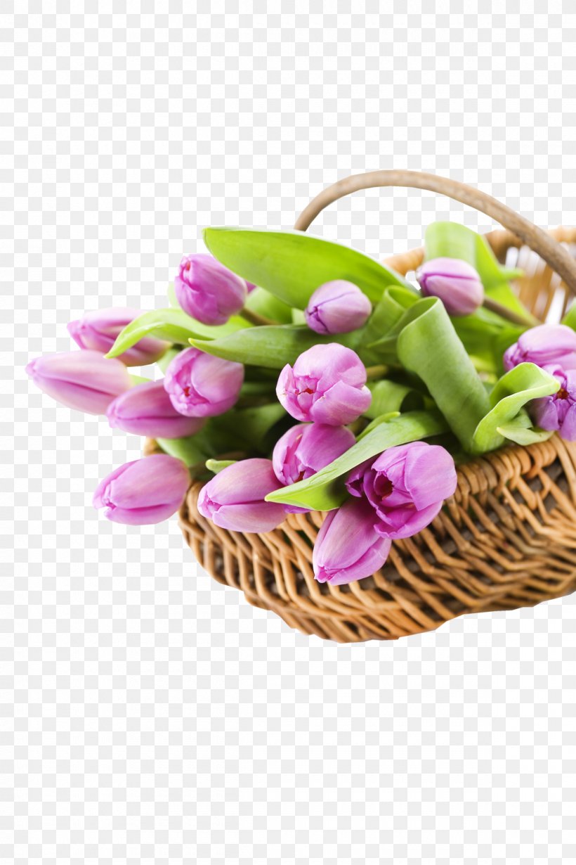 International Women's Day Holiday Greeting & Note Cards Ansichtkaart March 8, PNG, 1200x1800px, International Women S Day, Ansichtkaart, Basket, Birthday, Cut Flowers Download Free