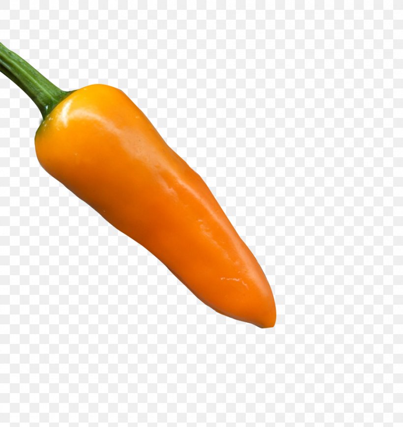 Habanero Serrano Pepper Cayenne Pepper Bell Pepper Jalapexf1o, PNG, 935x992px, Habanero, Bell Pepper, Bell Peppers And Chili Peppers, Capsicum, Capsicum Annuum Download Free