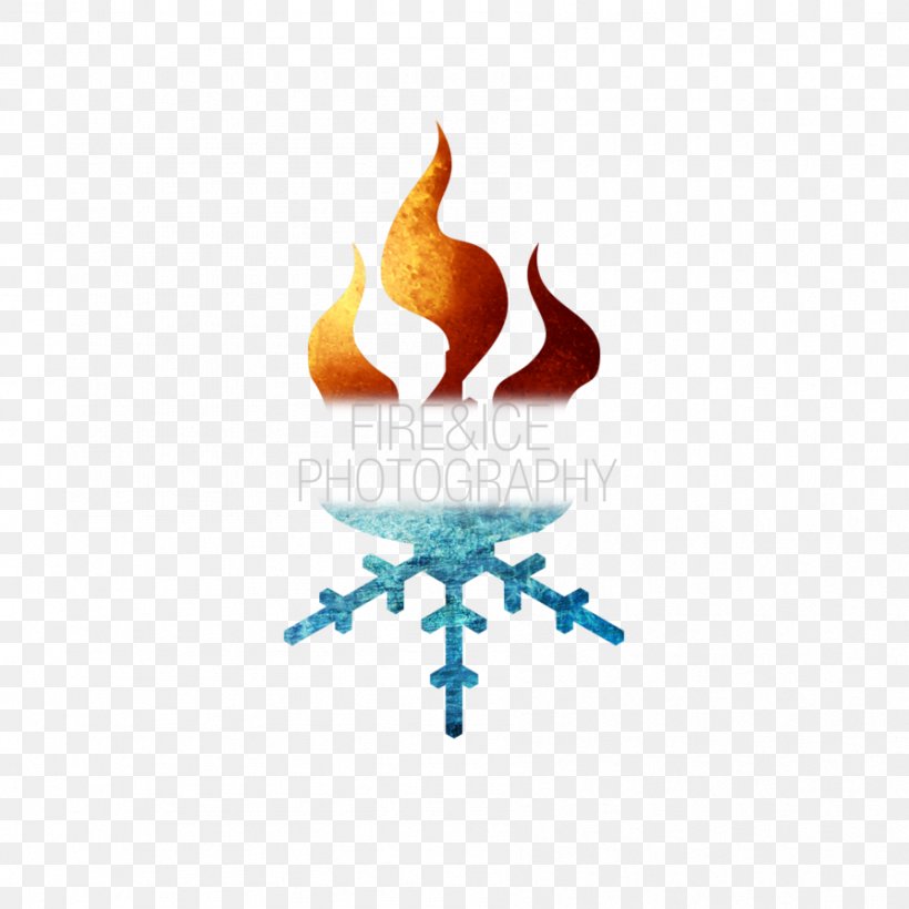 Logo Fire & Ice Graphic Design, PNG, 894x894px, Logo, Fire, Fire Ice, Food, Heat Download Free