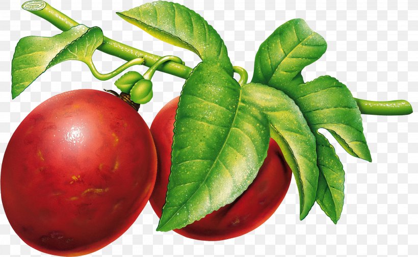 Plum Blossom Peach Fruit, PNG, 2809x1729px, Plum, Apple, Bush Tomato, Diet Food, Food Download Free