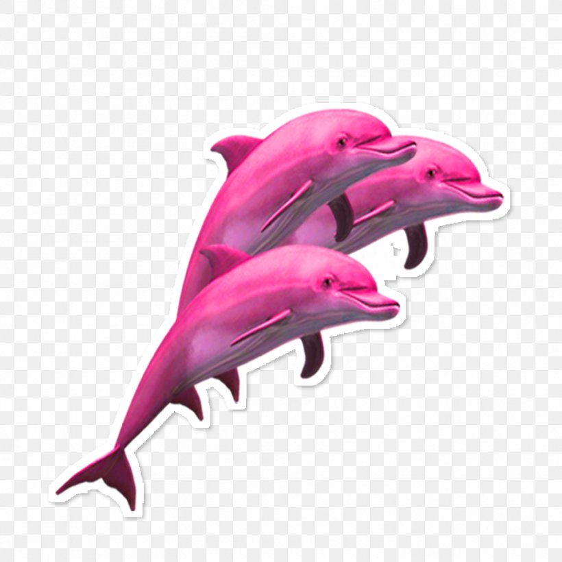 Dolphin Porpoise Sticker Adhesive, PNG, 962x962px, Dolphin, Adhesive, Art, Cetacea, Fin Download Free
