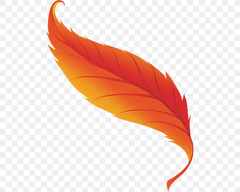 Feather, PNG, 503x656px, 44th Avenue North, St Cloud State University, Feather, Life, St Cloud Download Free