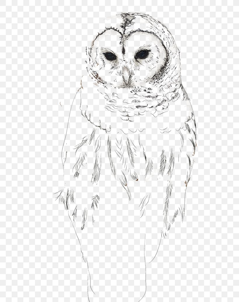 Owl Beak Bird Sketch, PNG, 600x1036px, Owl, Art, Artwork, Beak, Bird Download Free