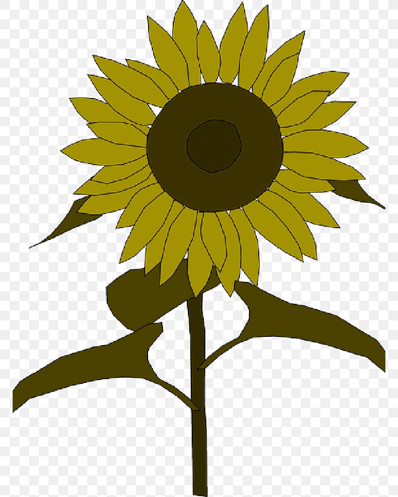 Clip Art Image Free Content Illustration, PNG, 768x1024px, Sunflower, Art, Asterales, Blackandwhite, Blackeyed Susan Download Free