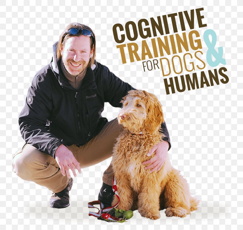 Dog Breed Puppy Companion Dog Dog Training, PNG, 775x778px, Dog Breed, Breed, Carnivoran, Cognition, Cognitive Training Download Free