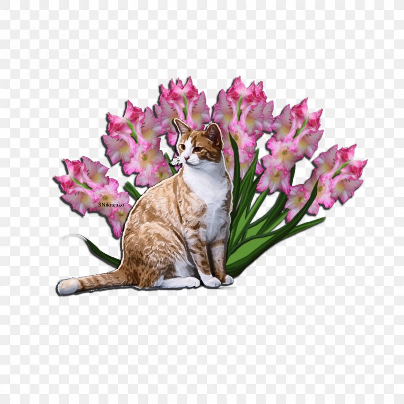 Flower Garden Whiskers Kitten Cat, PNG, 1140x1140px, Flower, American Wirehair, Blossom, Bougainvillea, Carnivore Download Free