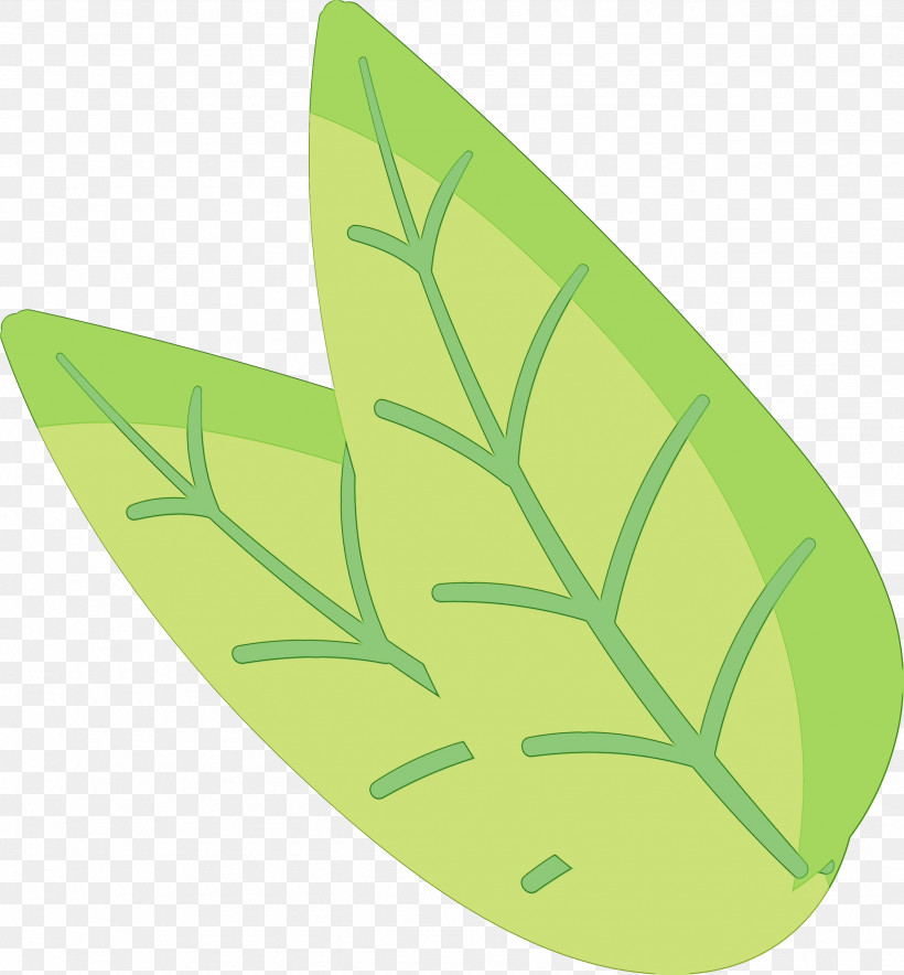 Leaf Font Vegetable Green Butterflies, PNG, 2570x2773px, Watercolor, Biology, Butterflies, Green, Leaf Download Free