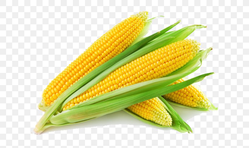 Maize Corn Flakes Corn Starch Cornmeal Food, PNG, 650x487px, Maize, Baby Corn, Cereal, Commodity, Cooking Download Free
