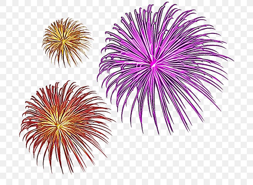 New Year's Eve, PNG, 800x600px, Fireworks, Event, Festival, Holiday, New Years Eve Download Free