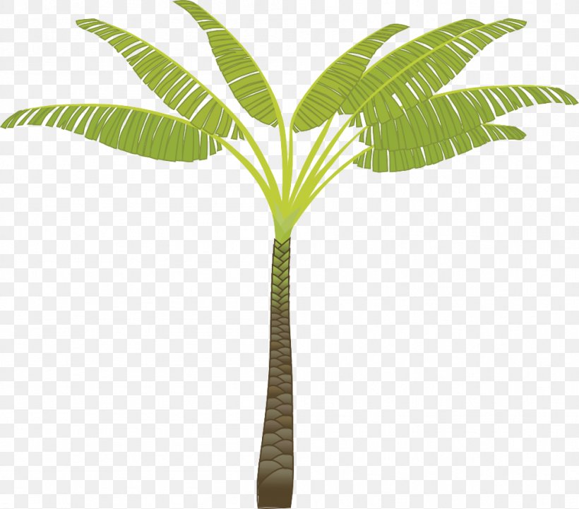 Palm Tree, PNG, 999x879px, Leaf, Arecales, Flower, Flowering Plant, Palm Tree Download Free