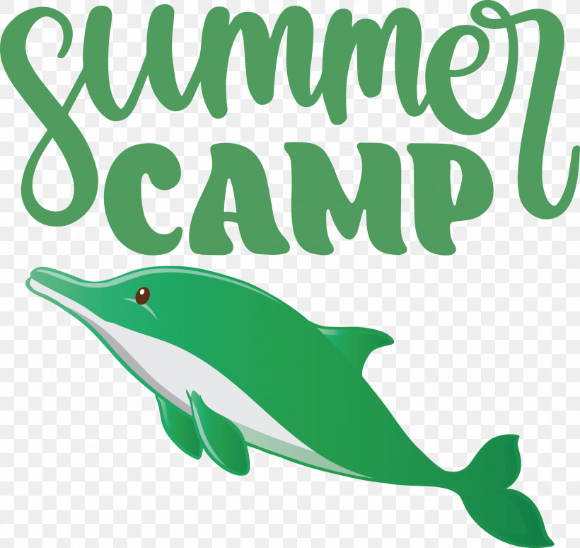 Summer Camp Summer Camp, PNG, 2999x2831px, Summer Camp, Bottlenose Dolphin, Camp, Cartoon, Cetaceans Download Free