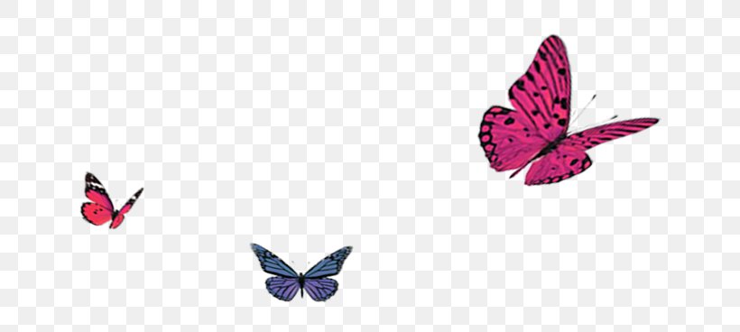 Butterfly Autumn, PNG, 710x368px, Butterfly, Autumn, Blue, Christmas, Drawing Download Free