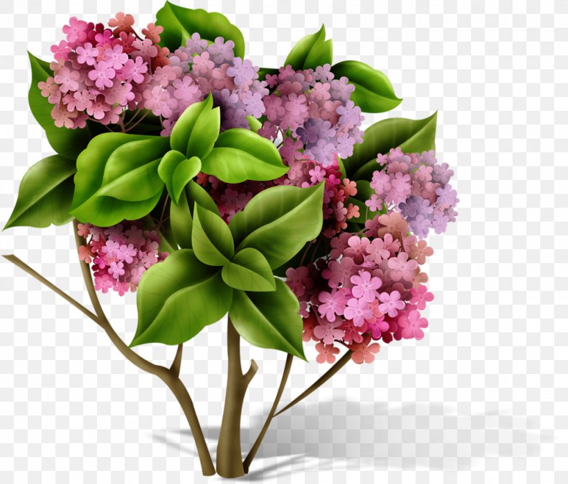 Flower Render, PNG, 1024x874px, Flower, Blog, Bud, Cornales, Cut Flowers Download Free
