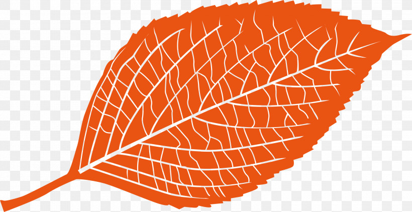 Leaf, PNG, 3000x1546px, Leaf, Biology, Geometry, Line, Mathematics Download Free