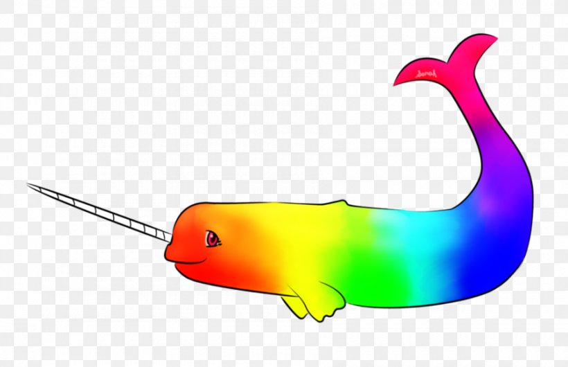 Narwhal Drawing Tusk Marine Mammal Rainbow, PNG, 900x582px, Narwhal, Animation, Art, Beak, Deviantart Download Free