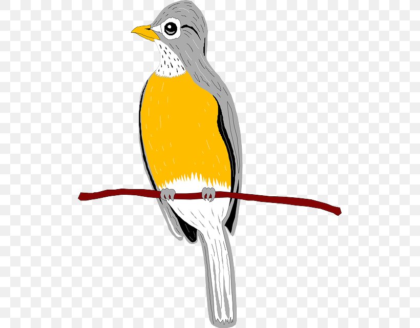 Beak Bird European Robin Wing Clip Art, PNG, 515x640px, Beak, Animal, Bird, European Robin, Fauna Download Free