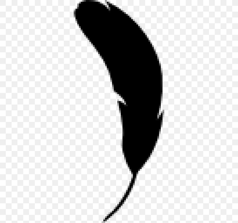 Bird Feather Shape, PNG, 768x768px, Bird, Black, Black And White, Cdr, Feather Download Free
