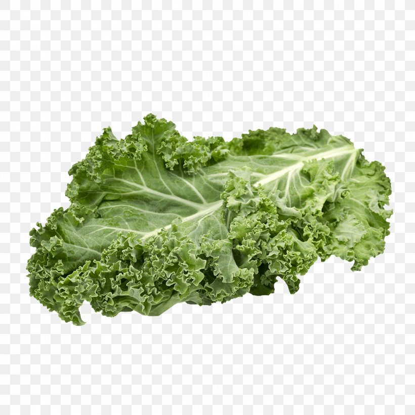 Curly Kale Cabbage Stock Photography Image, PNG, 1024x1024px, Curly Kale, Broccoli, Cabbage, Cabbages, Chard Download Free