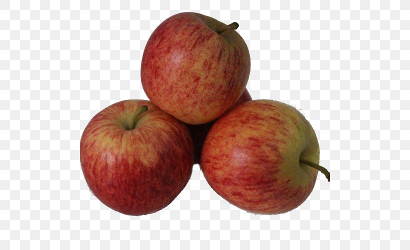 McIntosh Red Apple Gala Accessory Fruit, PNG, 500x500px, Mcintosh Red, Accessory Fruit, Apple, Caliber, Calibre Download Free