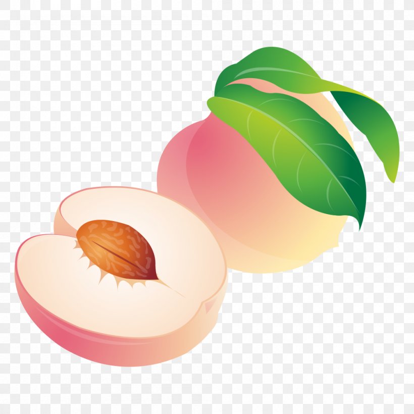 Peach Cartoon, PNG, 1000x1000px, Peach, Auglis, Cartoon, Coreldraw, Food Download Free