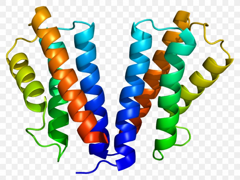 Signal Transducing Adaptor Protein Vesicle Vacuolar Protein Sorting Protein Complex, PNG, 988x741px, Watercolor, Cartoon, Flower, Frame, Heart Download Free