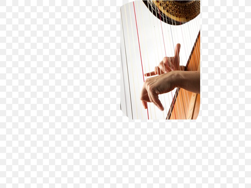 Conservatoire National Supérieur De Musique Et De Danse De Lyon Anne Ricquebourg Shoulder, PNG, 490x615px, Shoulder, Biography, Consensus, Finger, Harpist Download Free