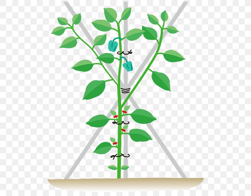Plant Stem Leaf Flower Clip Art, PNG, 640x640px, Plant Stem, Branch, Branching, Flower, Flowering Plant Download Free