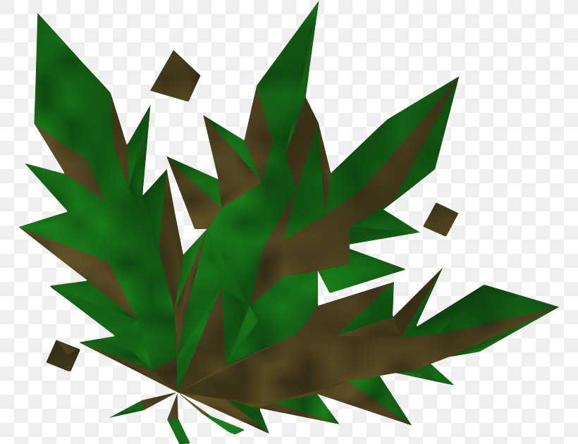 RuneScape Wikia Herb Potion, PNG, 768x630px, Runescape, Cannabis, Grass, Green, Herb Download Free