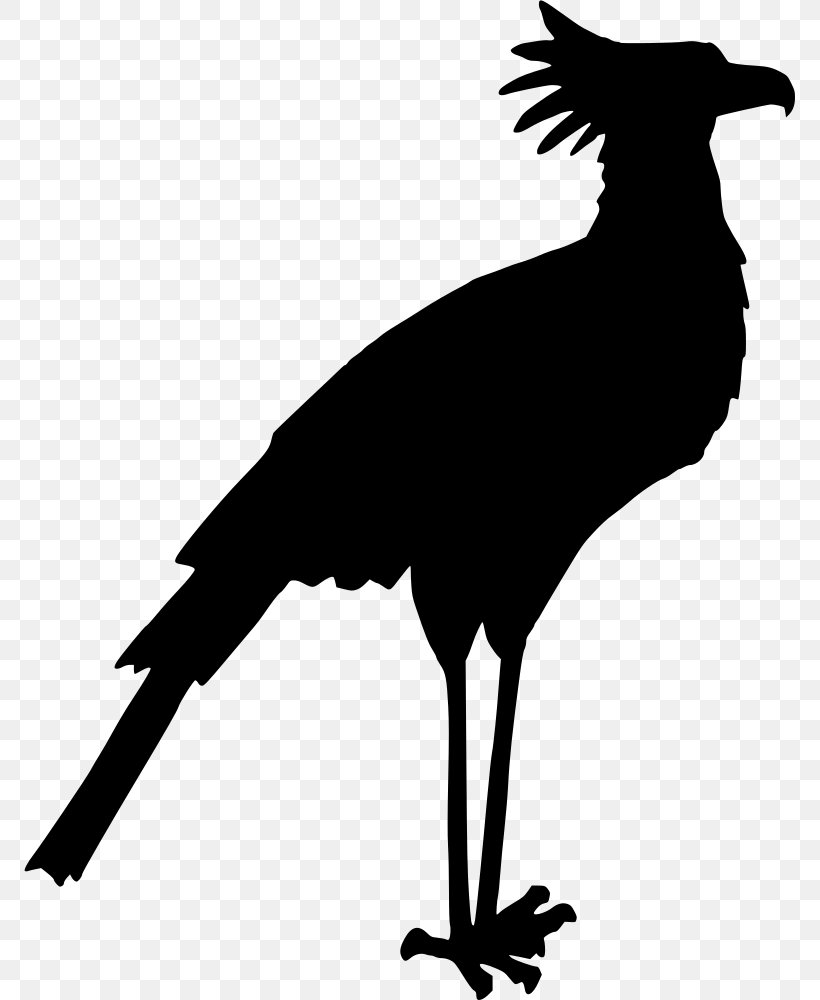 Secretarybird Silhouette Clip Art, PNG, 771x1000px, Bird, Beak, Black And White, Color, Digital Image Download Free