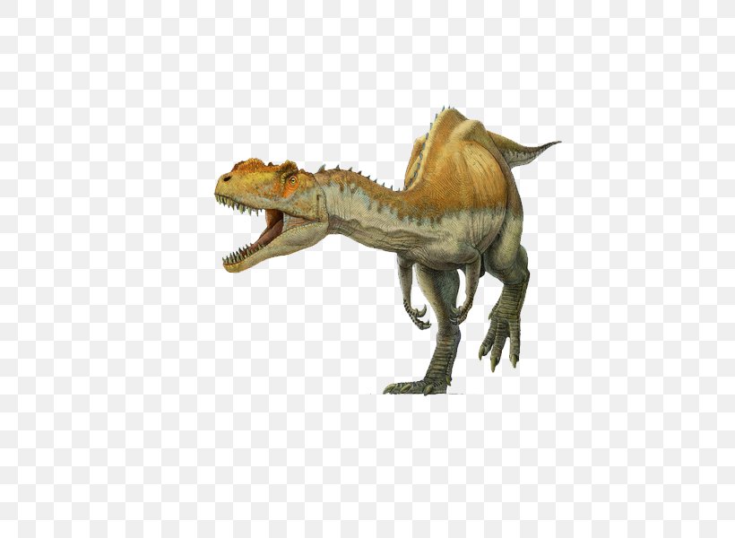 Spinosaurus Yangchuanosaurus Tyrannosaurus Metriacanthosaurus Oxfordian, PNG, 600x600px, Spinosaurus, Allosaurus, Carnivore, Cretaceous, Dinosaur Download Free
