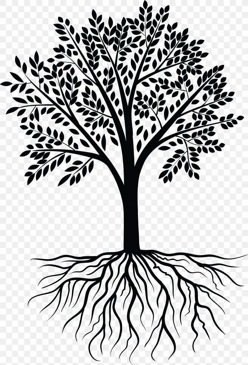 Tree Photography Clip Art, PNG, 2264x3335px, Tree, Black And White, Branch, Company, Decal Download Free