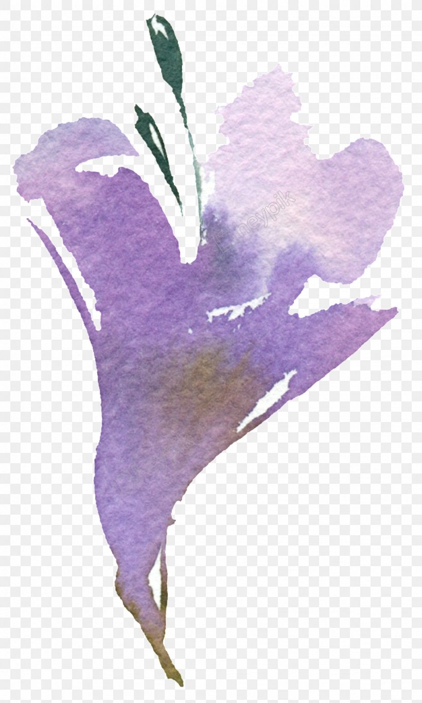 Watercolor Painting Art Design Image, PNG, 1024x1706px, Watercolor Painting, Anthurium, Art, Arum Family, Bellflower Download Free