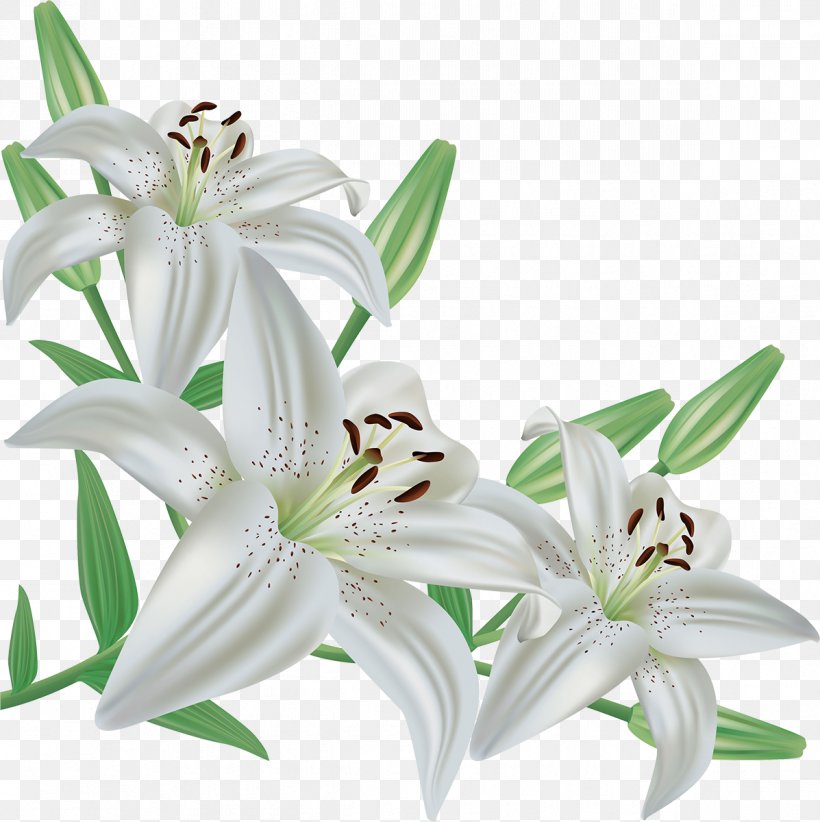 Christian Clip Art Easter Lily Lent, PNG, 1197x1200px, Christian Clip Art, Cut Flowers, Easter, Easter Lily, Flower Download Free