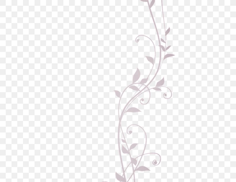 Floral Design Petal Photography, PNG, 565x632px, Floral Design, Album, Black And White, Branch, Description Download Free