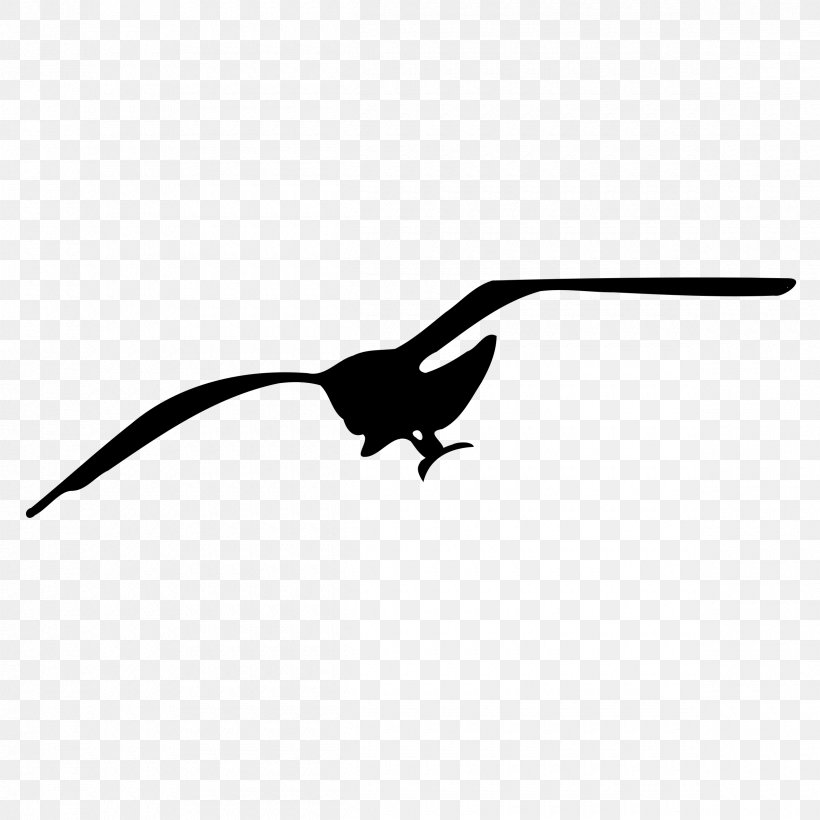 Gulls Drawing Clip Art, PNG, 2400x2400px, Gulls, Beak, Bird, Black And White, Cartoon Download Free