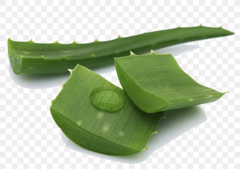 Lotion Itch Skin Physical Exercise Health, PNG, 880x622px, Lotion, Aloe, Bad Breath, Banana Leaf, Food Download Free