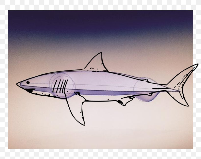Shark Fauna Swordfish Clip Art, PNG, 800x650px, Shark, Fauna, Fin, Fish, Swordfish Download Free