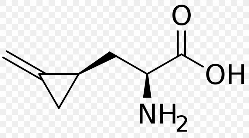 Amino Acid Chemistry Phenylalanine Chemical Formula Hypoglycin A, PNG, 1200x668px, Amino Acid, Acetyl Group, Acid, Alanine, Area Download Free