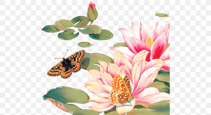 Butterfly Water Lily Lotus Clip Art, PNG, 500x447px, Butterfly, Butterflies And Moths, Cut Flowers, Flower, Insect Download Free