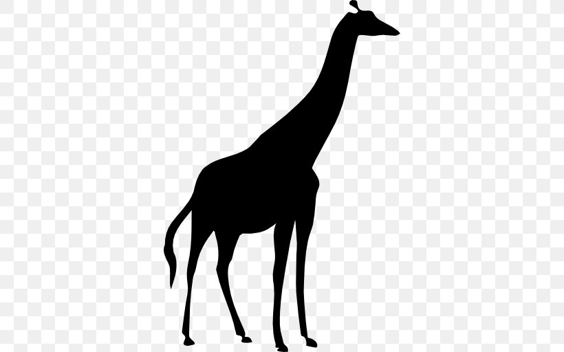 Clip Art, PNG, 512x512px, Northern Giraffe, Black And White, Drawing, Fauna, Giraffe Download Free