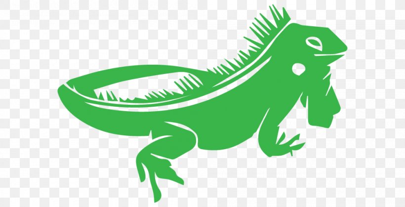 Lizard Chameleons Reptile Green Iguana Clip Art, PNG, 1000x512px, Lizard, Amphibian, Bearded Dragons, Cage, Chameleons Download Free