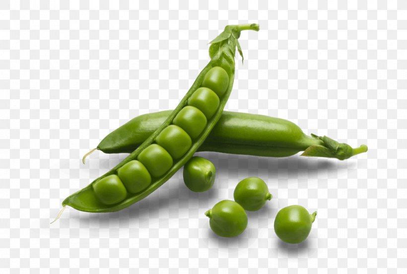 Snap Pea Green Pea Split Pea Bean, PNG, 860x579px, Snap Pea, Bean, Birds Eye Chili, Blackeyed Pea, Flowering Plant Download Free