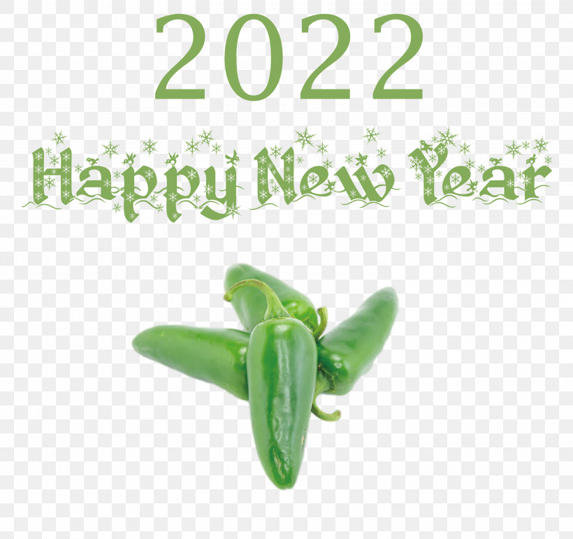 2022 Happy New Year 2022 New Year 2022, PNG, 3000x2821px, Frogs, Green, Meter Download Free