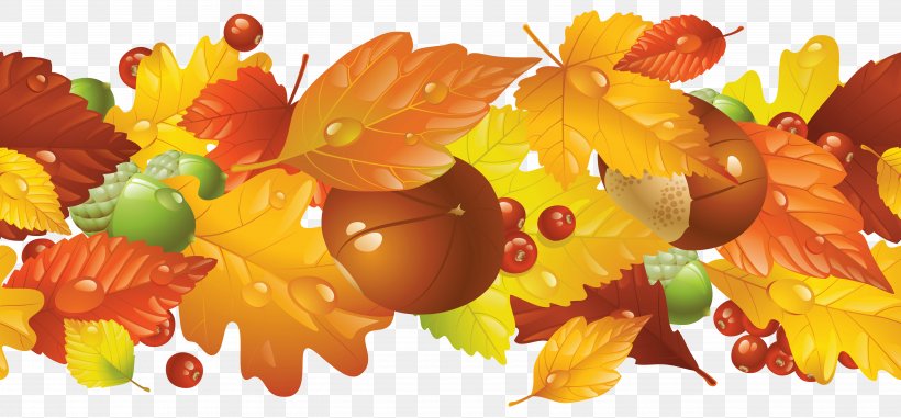 Autumn Leaf Color Clip Art, PNG, 5706x2658px, Autumn, Autumn Leaf Color, Flower, Fruit, Leaf Download Free