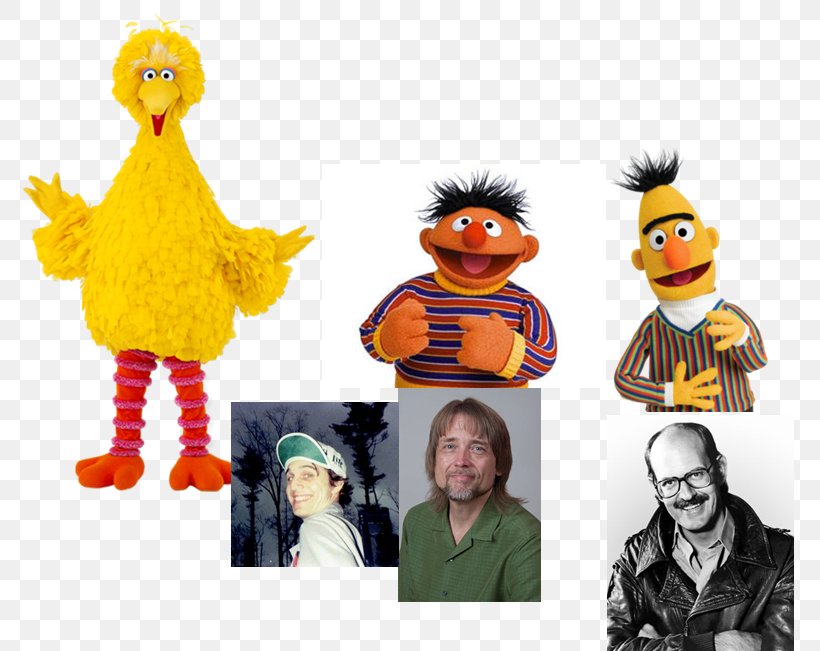 Big Bird Ernie Bert Abby Cadabby Zoe, PNG, 800x651px, Big Bird, Abby Cadabby, Bert, Costume, Ernie Download Free