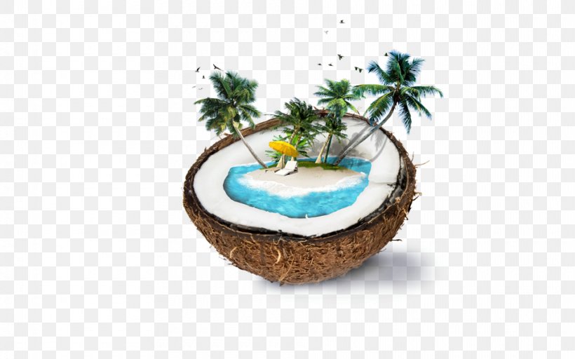 Nadi Weligama Coconut Water Coconut Milk, PNG, 960x600px, Nadi, Beach, Coconut, Coconut Milk, Coconut Oil Download Free