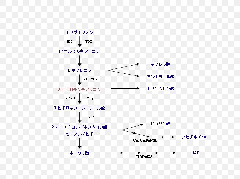 Public Domain Copyright Thumbnail Kynurenine Pathway, PNG, 708x612px, Public Domain, Area, Author, Blue, Computer Font Download Free