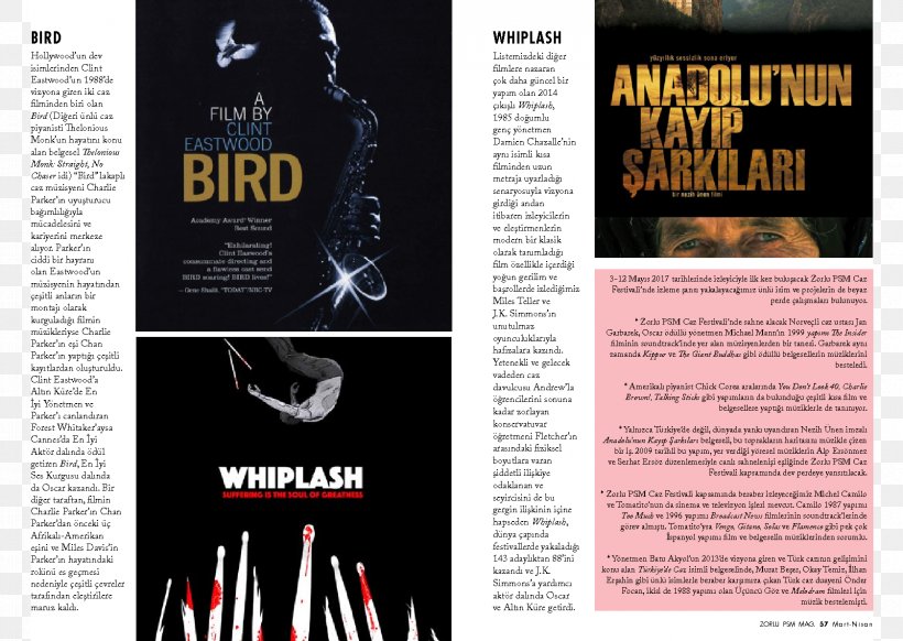 United States Bird DVD Warner Home Video, PNG, 1678x1191px, United States, Advertising, Bird, Dvd, Forest Whitaker Download Free