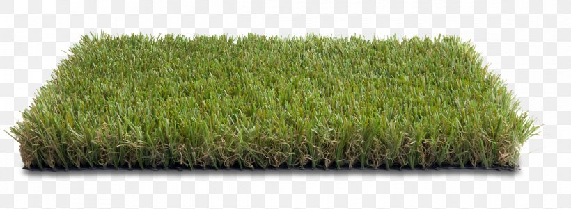 Marche Artificial Turf Zoom Video Communications Meadow Shop, PNG, 1170x430px, Marche, Artificial Turf, Grass, Grass Family, Grasses Download Free