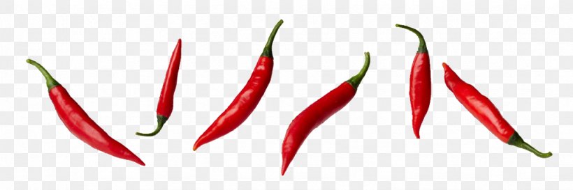 Bird's Eye Chili Chile De árbol Serrano Pepper Tabasco Pepper Cayenne Pepper, PNG, 1024x341px, Serrano Pepper, Bell Peppers And Chili Peppers, Capsicum, Capsicum Annuum, Cayenne Pepper Download Free